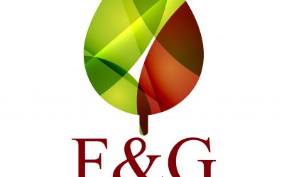 3-in-1 Insurance Identities