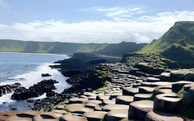 Travel – 771% more leads in 30 days