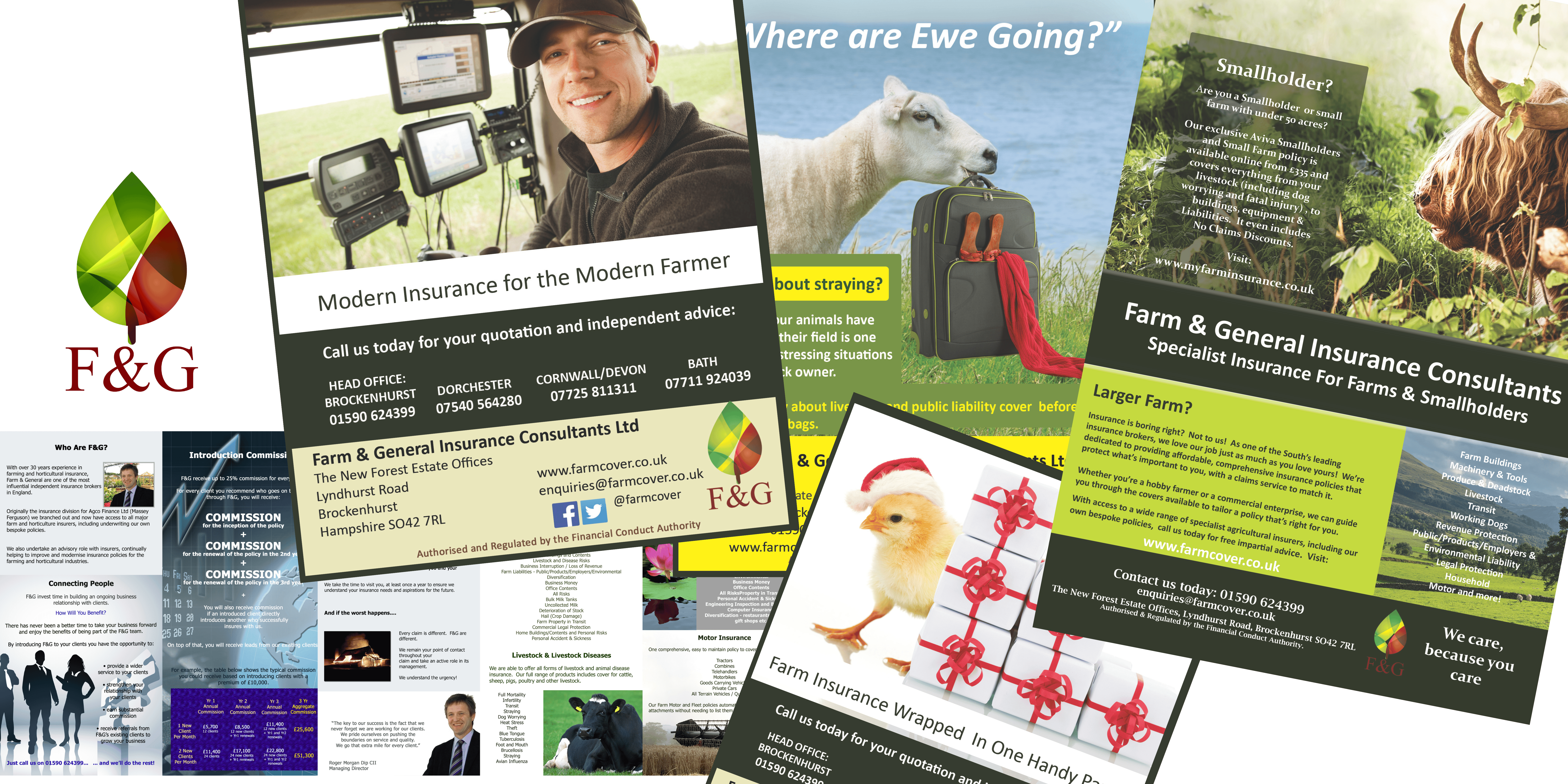 Insurance Branding 2
